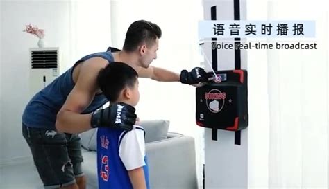 拳击智能训练沙袋语音沙包拳靶拳力测试仪吊挂式便携测力器加厚款-阿里巴巴