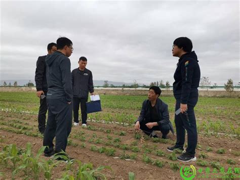 我校参加河北省农业和企业科技特派员创新能力提升培训会-技术转移中心
