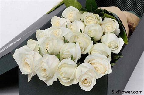 19朵白玫瑰的花语是什么？19朵白玫瑰代表什么意思？-六朵花