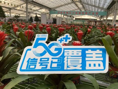 潍坊移动做好第22届中国（青州）花卉博览交易会通信保障 - 品牌推广 - 潍坊新闻网
