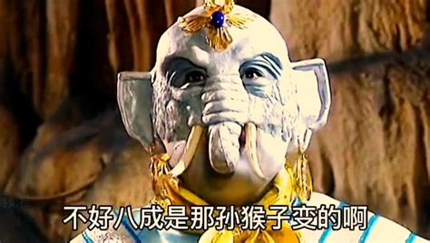 [精]-猫小七图片