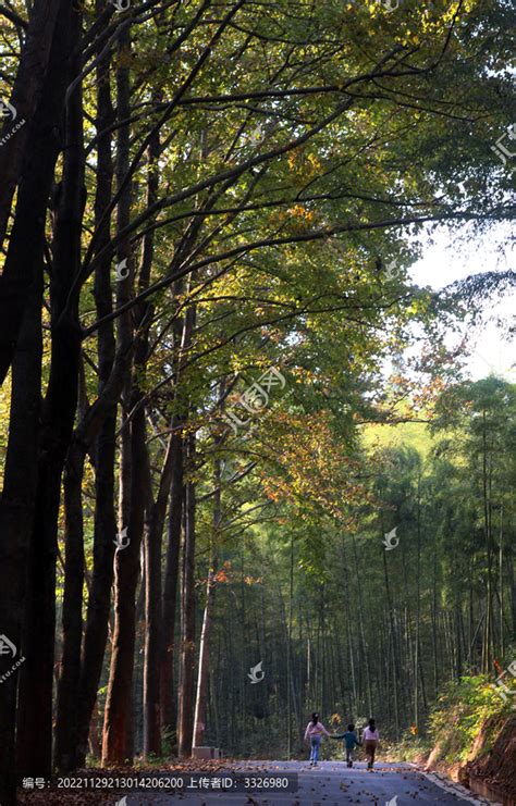 杭州 | 小众旅行:长乐林场 - 罗磊的独立博客