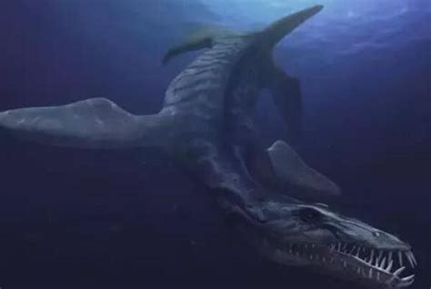 史前海洋霸主，长达20米以鲸鱼为食，可以轻松咬下霸王龙的脑袋 - 360娱乐，你开心就好
