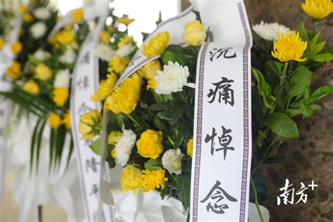 新湖南客户端袁隆平同志网上悼念厅献花致祭人数突破1000万人次 - 要闻 - 湖南在线 - 华声在线