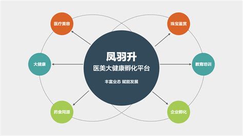 科技赋能，健康升级丨数字化「健康管理」平台定制解决方案—上海艾艺