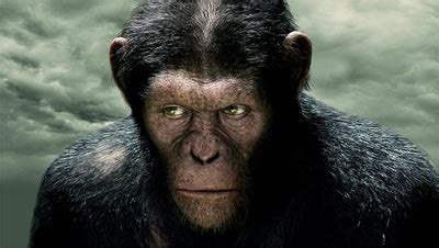 凯撒猩猩动漫,凯撒猩猩,黑猩猩凯撒_大山谷图库