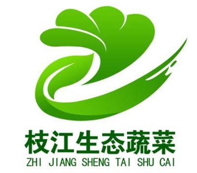 枝江标志Logo设计含义，品牌策划vi设计介绍