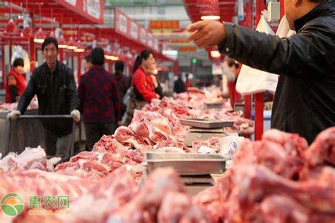 2021年春节前后猪肉价格行情 - 惠农网触屏版