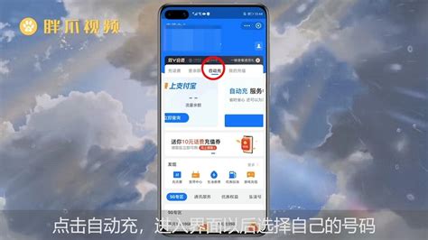 支付宝自动充话费怎么取消 - 软件教学 - 胖爪视 频