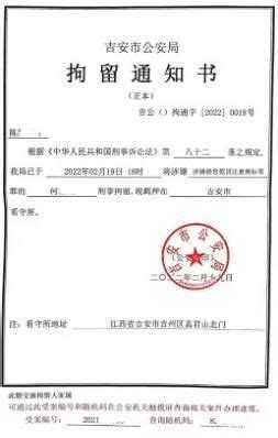 广西女子追讨茶叶款反被逮捕，律师、专家有话说__凤凰网