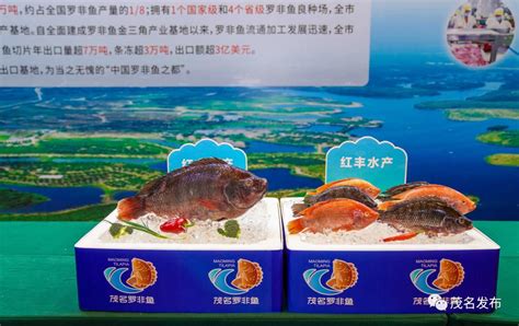 烤罗非鱼,中国菜系,食品餐饮,摄影素材,汇图网www.huitu.com
