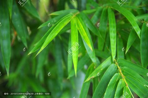 照片的虚化效果不是越模糊越好！|线形|镜头|圆形_新浪新闻