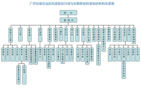 组织架构-广西壮族自治区民族医院