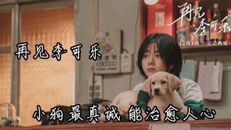 神犬小七2第2集剧情介绍(共42集) - 电视剧 | 爱剧情