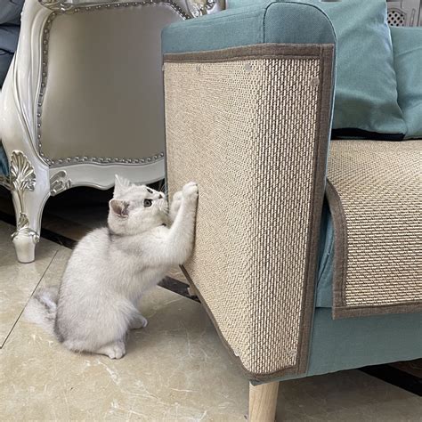 家里有猫主子的皮沙发是怎么保护的？ - 知乎