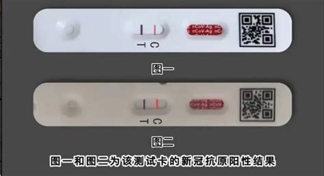 应对新冠疫情的中国处方 - 电子报详情页