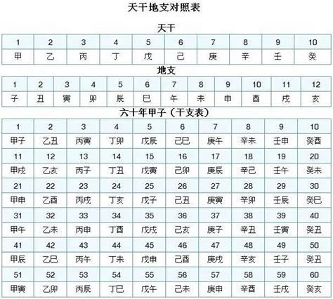 蝌蚪五线谱 - 专注做权威、有趣、贴近生活的互联网科学传播