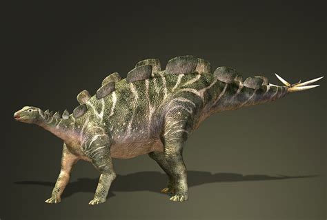 白垩纪时代有哪些恐龙（白垩纪恐龙种类图片大全名字） – 碳资讯