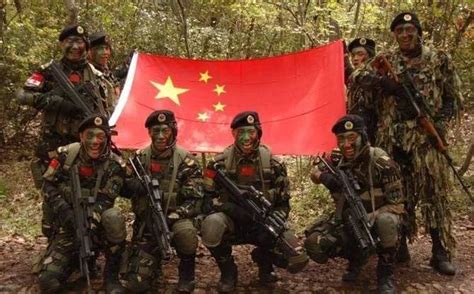 雪域高原，多兵种协同实兵实弹演练 - 中国军网