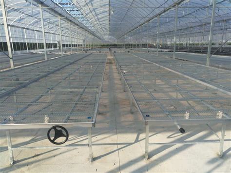 移动苗床主要用于温室大棚花卉栽培、蔬菜育苗/汉明苗床-安平县汉明育苗设备厂