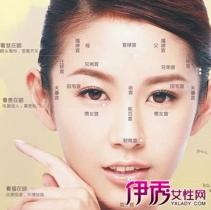 额头部位示意图图片