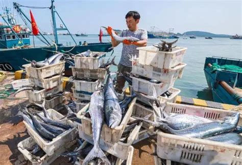“中渔科301”完成广东省近海渔业资源及生态环境要素断面调查任务-南海水产研究所