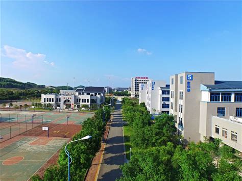 【柳州城市职业学院官网入口】柳州城市职业学院2022本科招生网入口 - 更三高考