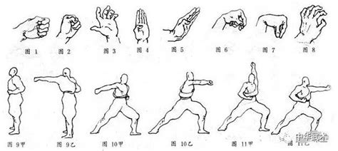 中国武术三种基本手型（拳掌勾）练习要点与示范教学