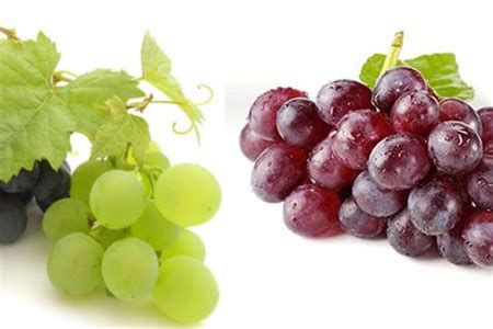 【葡萄】【图】了解葡萄的功效与作用 养生保健从吃开始_伊秀健康|yxlady.com