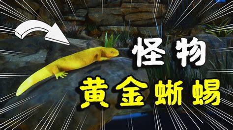 动物园之星28：复活怪异生物，罕见的黄金蜥蜴，动物园的命运扭转