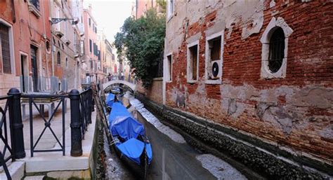 意大利威尼斯遭连日暴雨侵袭 已致2人死亡-水母(上海)科技发展有限公司