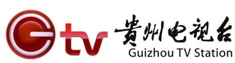 贵州电视台标志logo设计理念和寓意_影视logo设计思路 -艺点创意商城