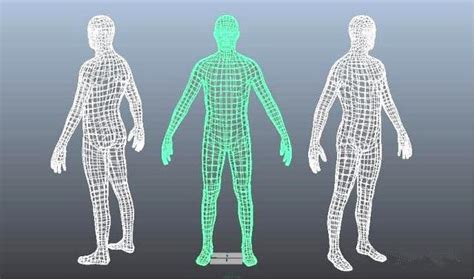 医用人体骨骼模型CAD图形