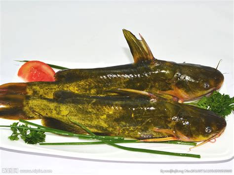 最有营养的五种鱼 黄骨鱼上榜，第一主要分布在长江和珠江流域_排行榜123网