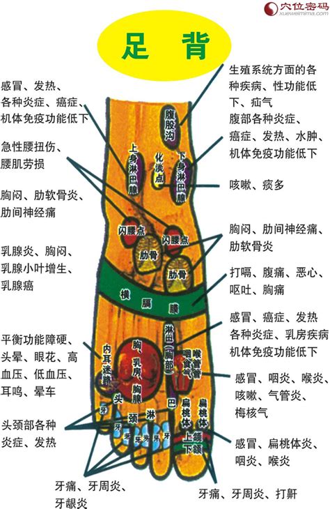 脚部位图图片