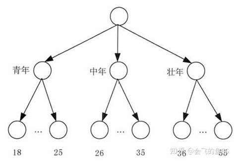 离散化和数值概念层次树简介 - 知乎