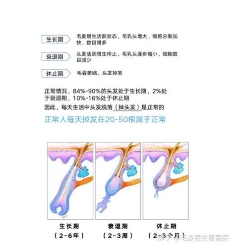 精辟：脱发治不好，头发长不出来，第6条一定要看_生发常识_秋黎产品官网_脂溢性脱发治疗_产后脱发严重_斑秃治疗_肾虚脱发治疗_生发的食物_治疗 ...