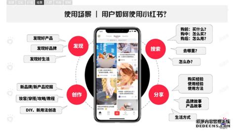 短视频营销方法利用市场营销策略分析-释放ChatGPT潜能：55个小红书营销场景提示案例精选-北京点石网络传媒