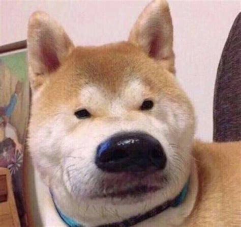 非主流头像鬼畜
