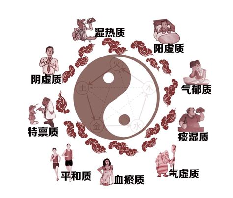中医九种体质养生法