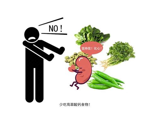 菠菜不能和什么一起吃 菠菜不易与什么同食 - 天奇生活