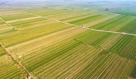 2022年渭南市完成45.5万亩高标准农田建设凤凰网陕西_凤凰网