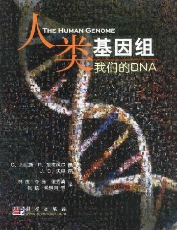 人类基因组图谱图片