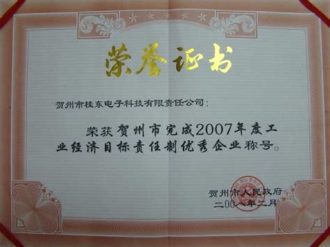 2007年 2007年度工业经济目贺州市完成标责任制优秀企业_广西贺州市桂东电子科技有限责任公司