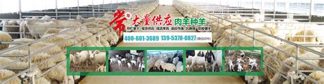 建设标准化养殖场，推进畜牧业转型升级-温岭新闻网