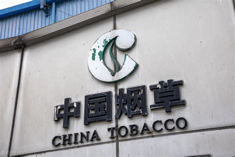 中国烟草一年总收入(中国是全球最大的烟草生产和消费市场)-风水人