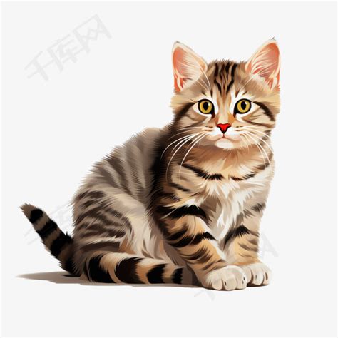 大花猫图片