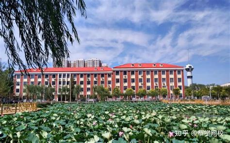天津农学院：更名大学已通过教育部资格审核|天津农学院|教育部|大学_新浪新闻