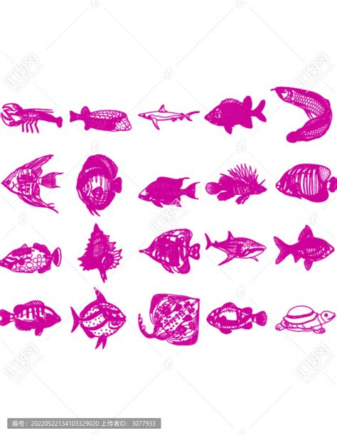 世界海洋鱼类图谱-