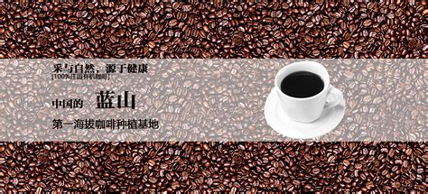 蓝山咖啡品牌商标设计-logo11设计网